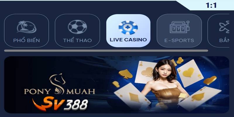 SV388 casino chưa bao giờ giảm đi độ hot nhờ sở hữu đa dạng loại hình