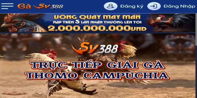 SV388 là sân chơi uy tín hàng đầu tại thị trường Việt Nam